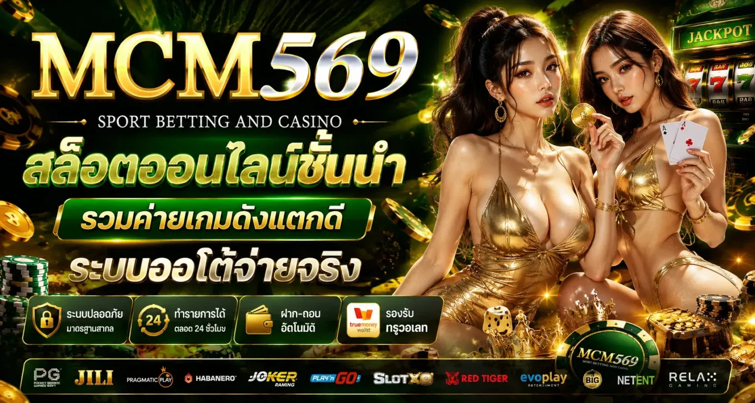 mcm569 slot